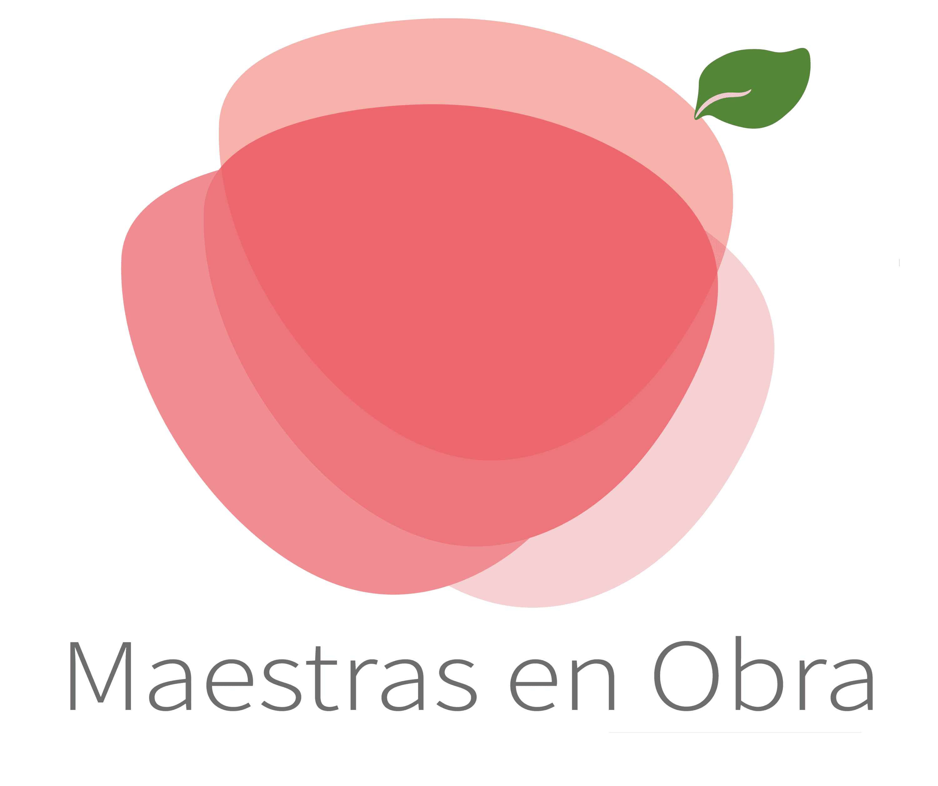 Maestras en Obra